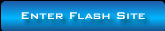 Enter Flash Site